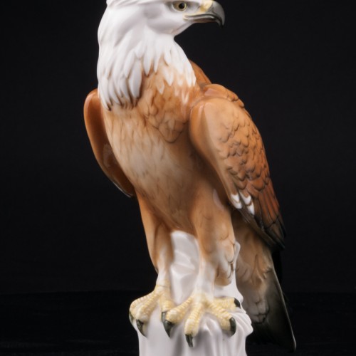 Белоголовый орлан, Karl Ens, Германия, 1920-30 гг