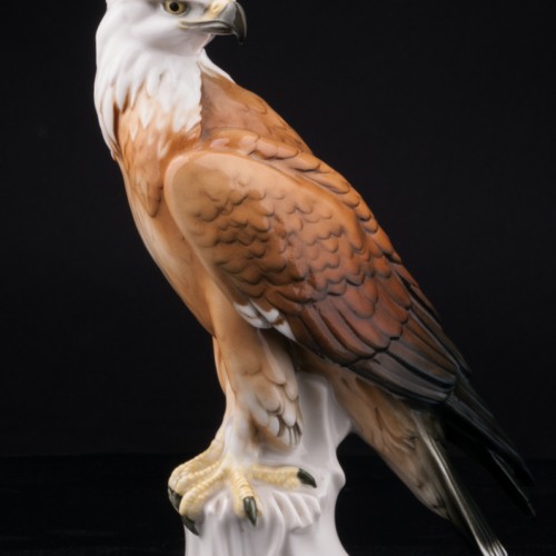 Белоголовый орлан, Karl Ens, Германия, 1920-30 гг