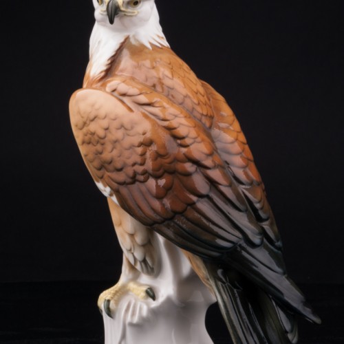 Белоголовый орлан, Karl Ens, Германия, 1920-30 гг