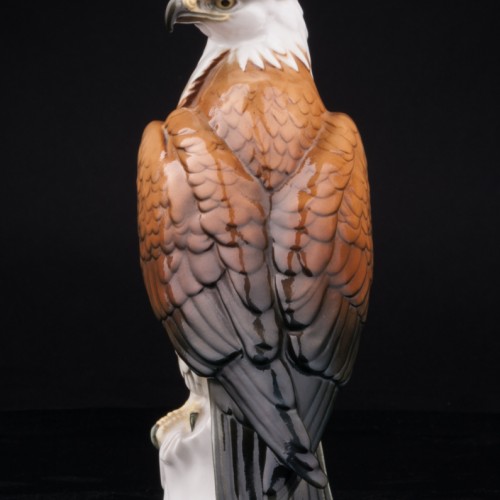 Белоголовый орлан, Karl Ens, Германия, 1920-30 гг