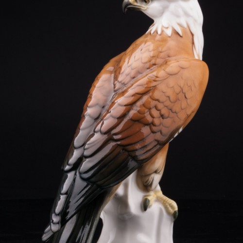 Белоголовый орлан, Karl Ens, Германия, 1920-30 гг