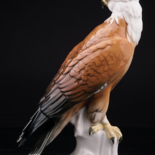 Белоголовый орлан, Karl Ens, Германия, 1920-30 гг