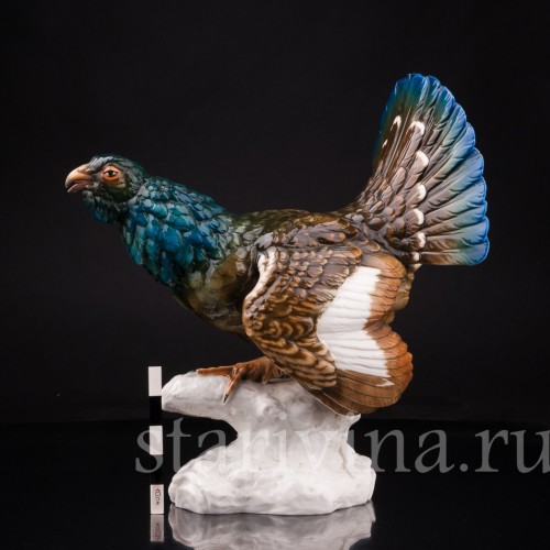 Глухарь, Dressel, Kister & Co, Германия, 1902-05 гг