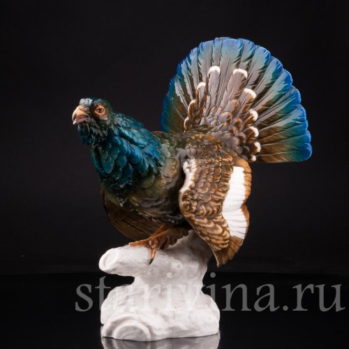 Глухарь, Dressel, Kister & Co, Германия, 1902-05 гг