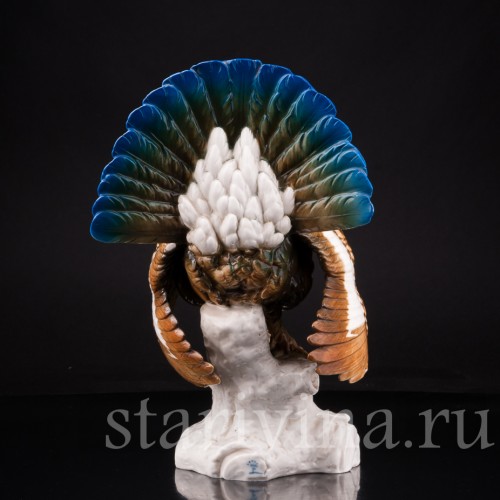 Глухарь, Dressel, Kister & Co, Германия, 1902-05 гг