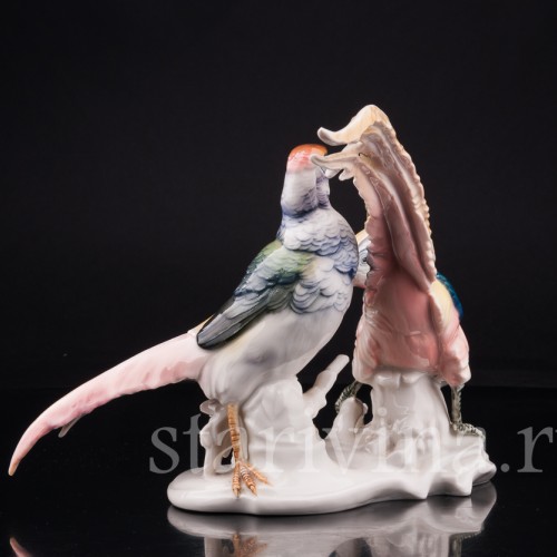 Фазаны, Karl Ens, Германия, 1920-30 гг