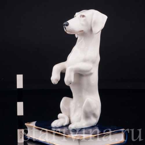 Такса на книге, Royal Dux, Чехия, нач. 20 в