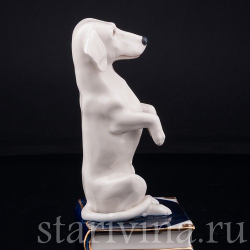 Такса на книге, Royal Dux, Чехия, нач. 20 в