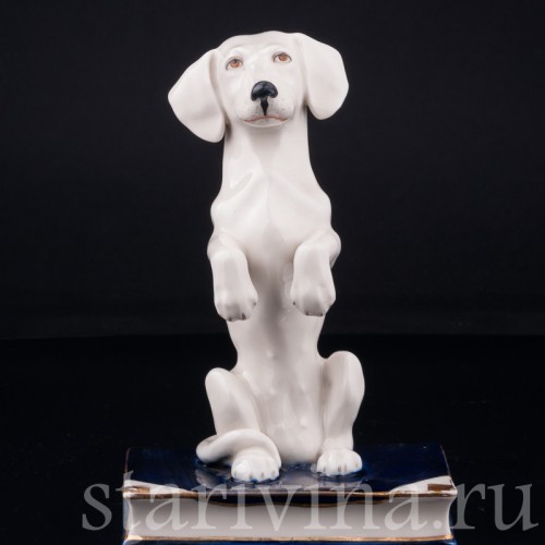 Такса на книге, Royal Dux, Чехия, нач. 20 в