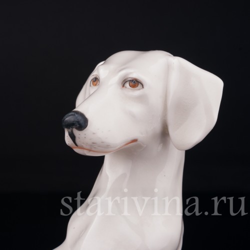 Такса на книге, Royal Dux, Чехия, нач. 20 в