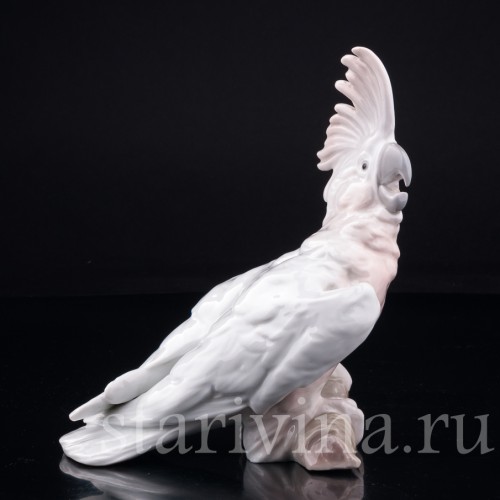 Попугай какаду, Heubach, Германия, 1920-30 гг