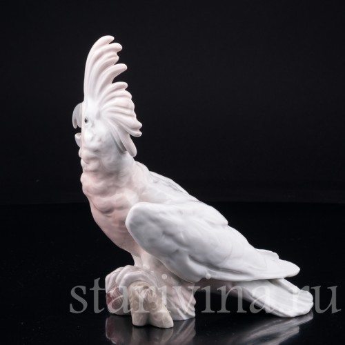 Попугай какаду, Heubach, Германия, 1920-30 гг