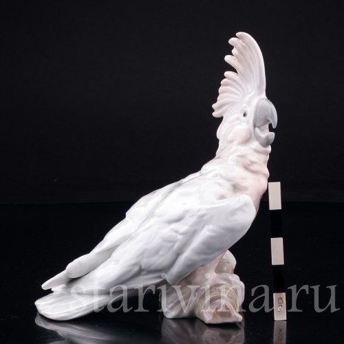 Попугай какаду, Heubach, Германия, 1920-30 гг