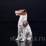 Фарфорвая статуэтка собаки Джек рассел, Carl Thieme, Германия, сер. 20 в.