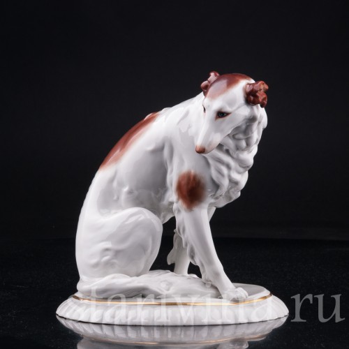 Борзая, Hertwig & Co, Германия, 1920-30 гг