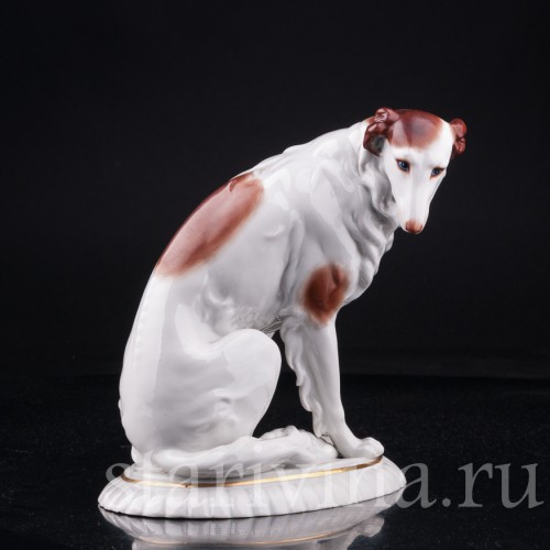 Борзая, Hertwig & Co, Германия, 1920-30 гг