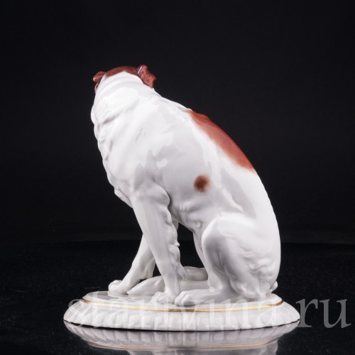 Борзая, Hertwig & Co, Германия, 1920-30 гг