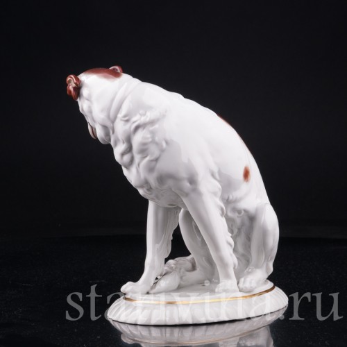 Борзая, Hertwig & Co, Германия, 1920-30 гг