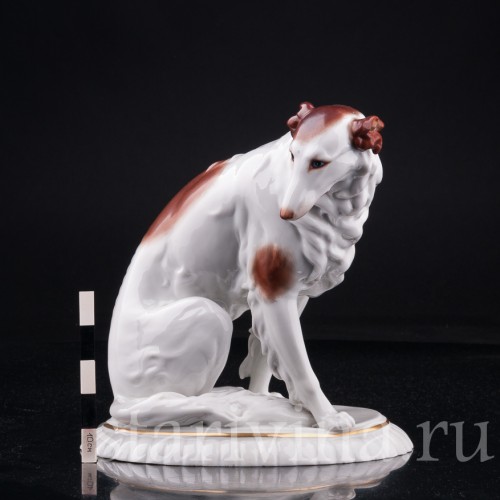 Борзая, Hertwig & Co, Германия, 1920-30 гг