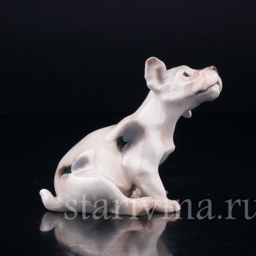 Силихем терьер, Bing & Grondahl, Дания