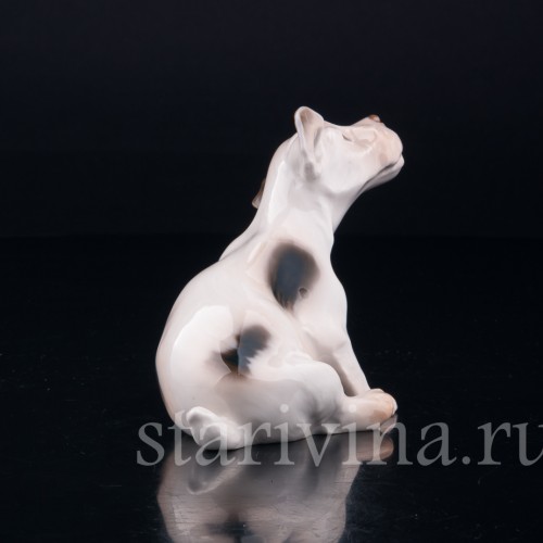 Силихем терьер, Bing & Grondahl, Дания