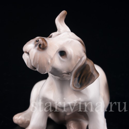 Силихем терьер, Bing & Grondahl, Дания