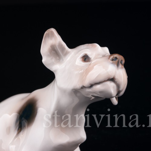 Силихем терьер, Bing & Grondahl, Дания