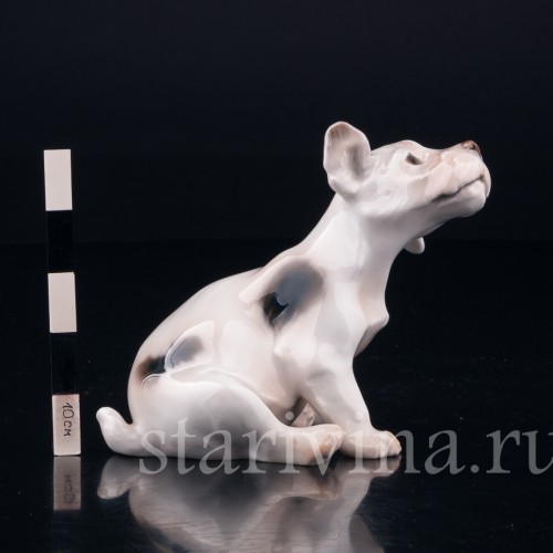 Силихем терьер, Bing & Grondahl, Дания