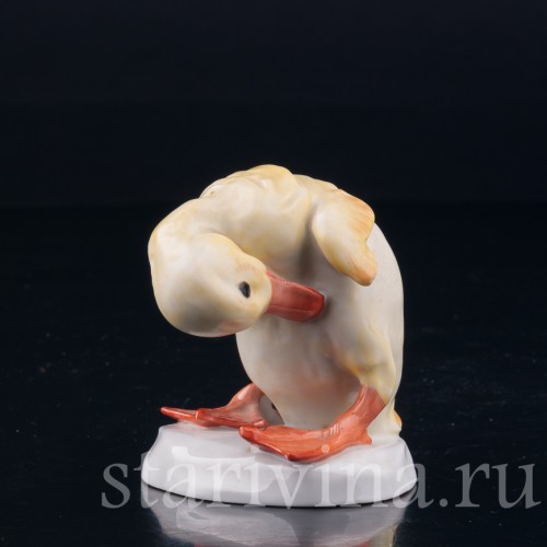 Утенок, Rosenthal, Германия