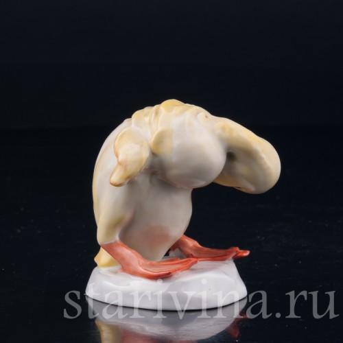 Утенок, Rosenthal, Германия