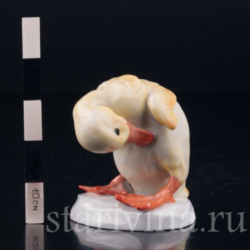 Утенок, Rosenthal, Германия