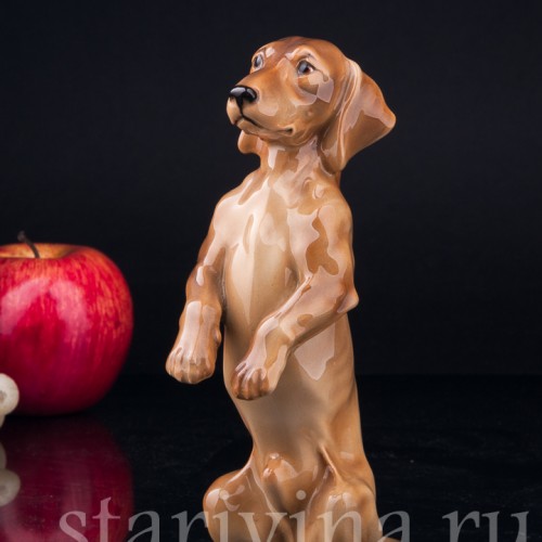 Такса, стоящая на задних лапах, Keramos, Австрия, сер. 20 в