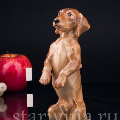 Такса, стоящая на задних лапах, Keramos, Австрия, сер. 20 в
