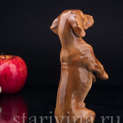 Такса, стоящая на задних лапах, Keramos, Австрия, сер. 20 в