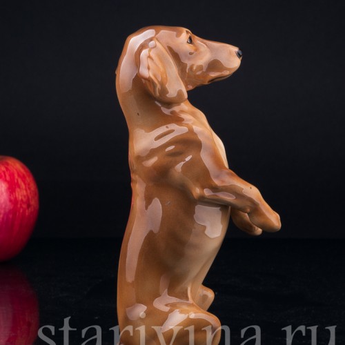 Такса, стоящая на задних лапах, Keramos, Австрия, сер. 20 в