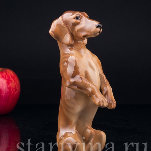 Такса, стоящая на задних лапах, Keramos, Австрия, сер. 20 в