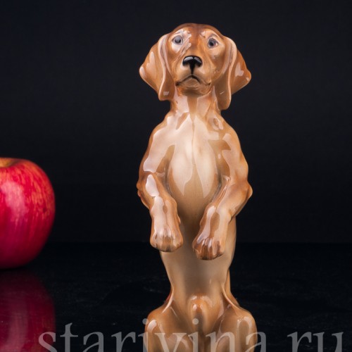 Такса, стоящая на задних лапах, Keramos, Австрия, сер. 20 в