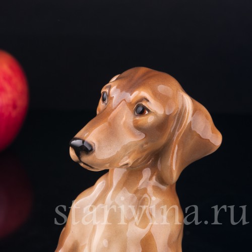 Такса, стоящая на задних лапах, Keramos, Австрия, сер. 20 в