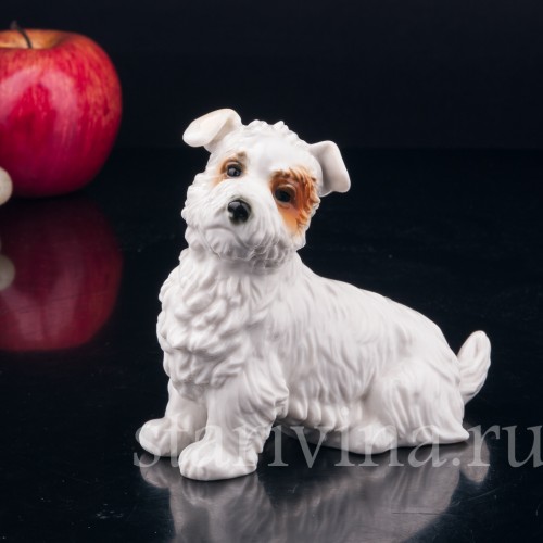 Статуэтка собаки из фарфора Собака, Karl Ens, Германия, 1920-30 гг.