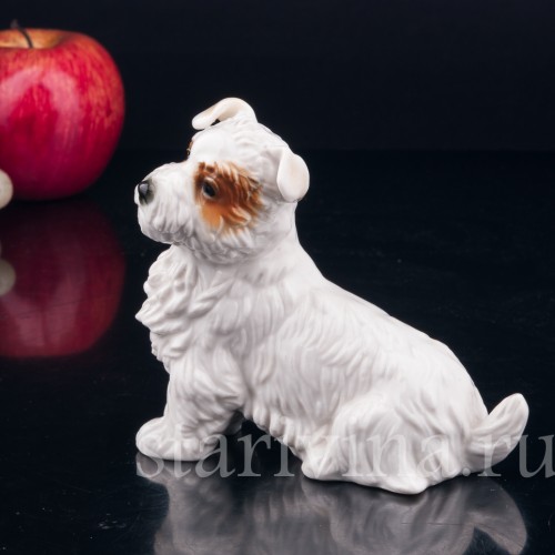 Статуэтка собаки из фарфора Собака, Karl Ens, Германия, 1920-30 гг.