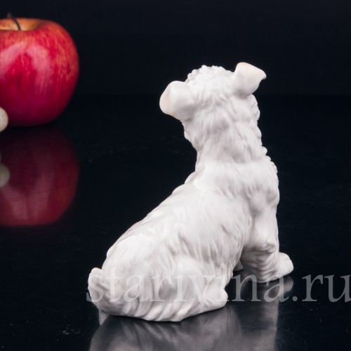 Статуэтка собаки из фарфора Собака, Karl Ens, Германия, 1920-30 гг.