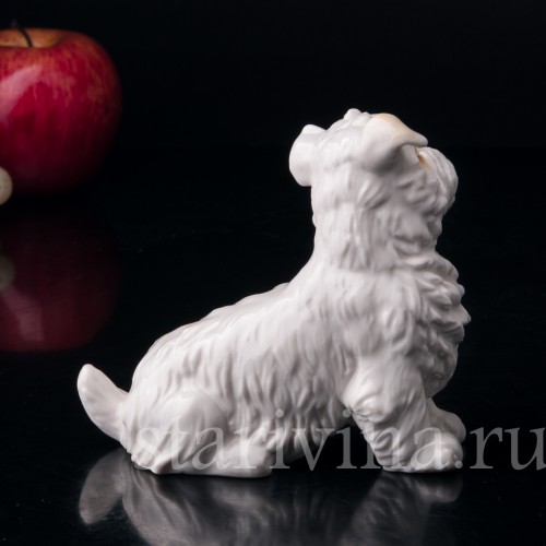 Статуэтка собаки из фарфора Собака, Karl Ens, Германия, 1920-30 гг.