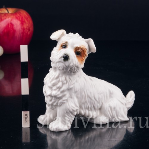 Статуэтка собаки из фарфора Собака, Karl Ens, Германия, 1920-30 гг.