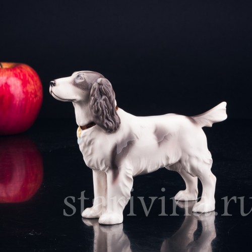 Спаниель, Keramos, Австрия, сер. 20 в