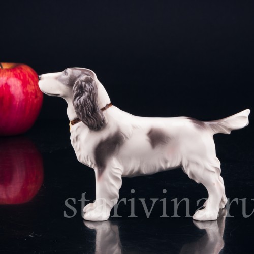 Спаниель, Keramos, Австрия, сер. 20 в