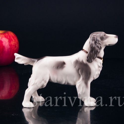 Спаниель, Keramos, Австрия, сер. 20 в