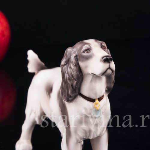 Спаниель, Keramos, Австрия, сер. 20 в