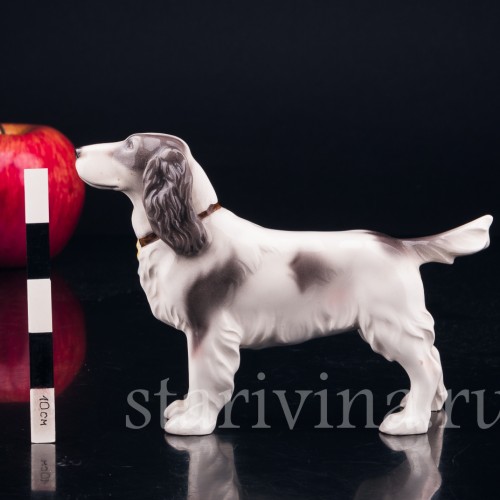 Спаниель, Keramos, Австрия, сер. 20 в