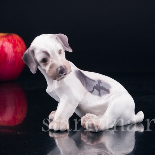 Силихем терьер, Bing & Grondahl, Дания