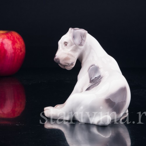 Силихем терьер, Bing & Grondahl, Дания